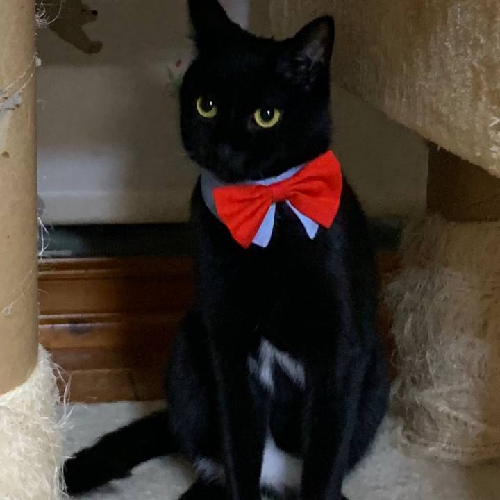 1d500e78 6467 47c3 9a71 99542eac141b 1555990348803