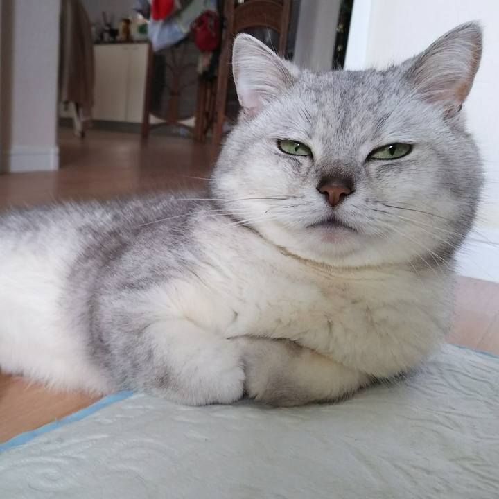 1d502de4 3ccb 4dd8 98cb 149dcbcd400f 1524274258817