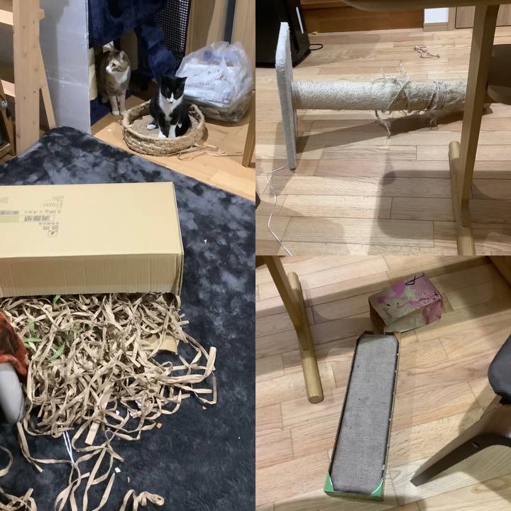 1d50a1f7 d4c1 4f4f 8569 74beef781a7a 1603285485810