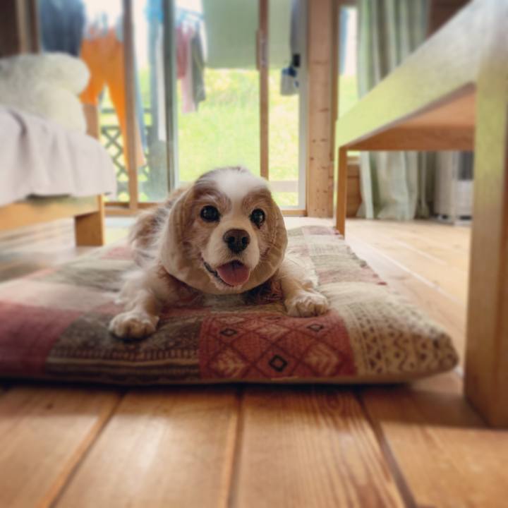 1d50e3e6 8b37 497c a470 4f8349454fd9 1621826967094