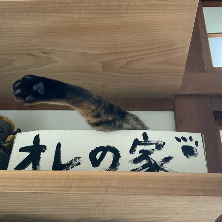 1d50f885 d44c 4d86 a21f aae819e44220 1726360180542