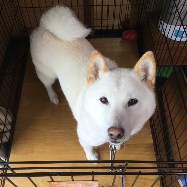 1d515577 0807 4efc ac10 f401acf7ef64 1561755368896