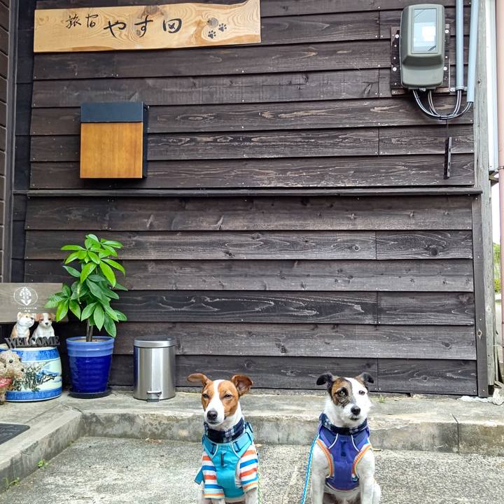 1d516248 e31a 42bb a54f c14a72b15b07 1657960937854