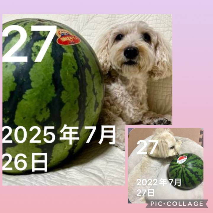 1d51810d 579d 41c4 a5e3 df73594c3e30 1785119479324