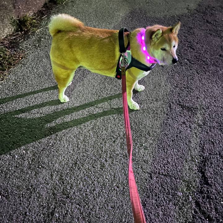 1d51b38a 5bfc 4d9a 8619 22db5941326b 1707516947480