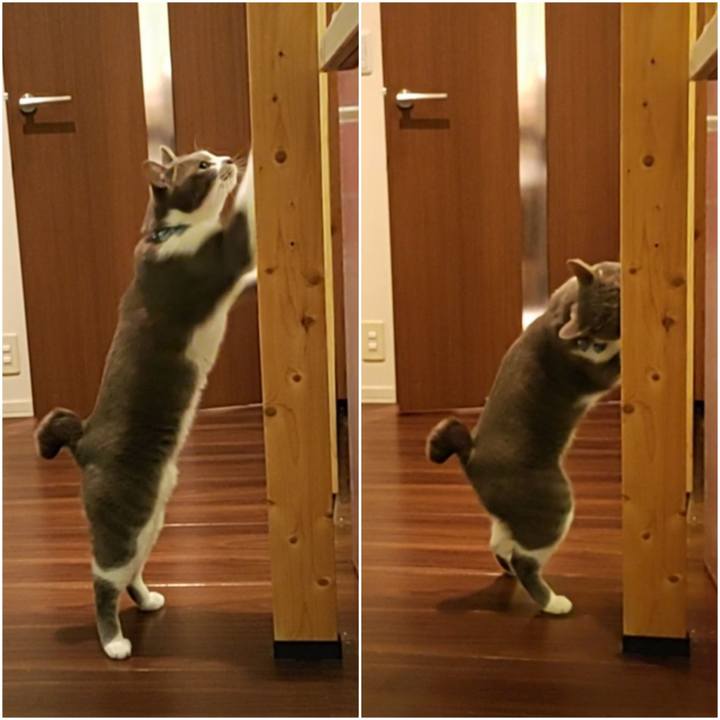 1d51e21b 7920 4e60 b9b3 2ac42d01bc26 1674305843977