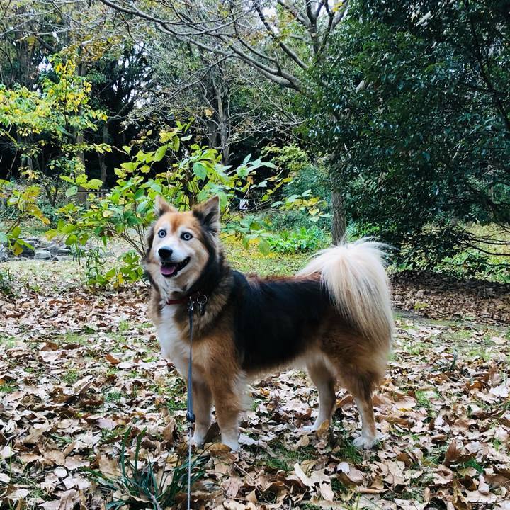 1d51e7d9 f4c0 4131 a3cb 285699e14480 1606120015115