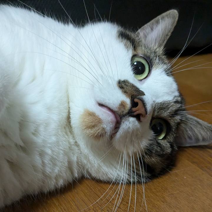 1d51f5b2 928e 4f43 8574 4c34e48b871b 1725709059169