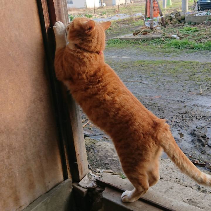 1d51f663 4748 420f 870d bf15d47fcc55 1578810777410