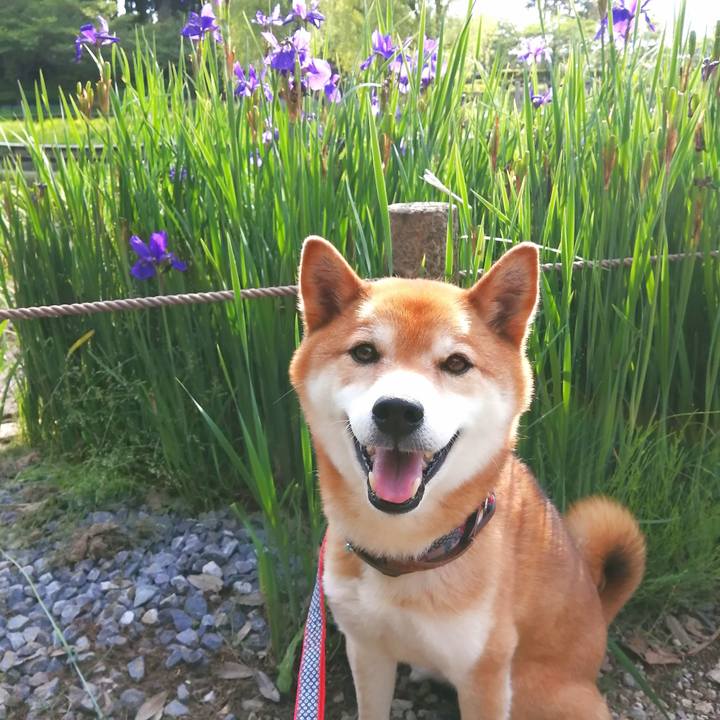 1d5211b5 f244 4181 8b94 5a130b1aaf10 1652255180114