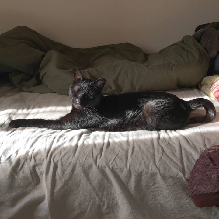 1d52248a c664 419c 8357 cac7fbb5d01a 1559189483310