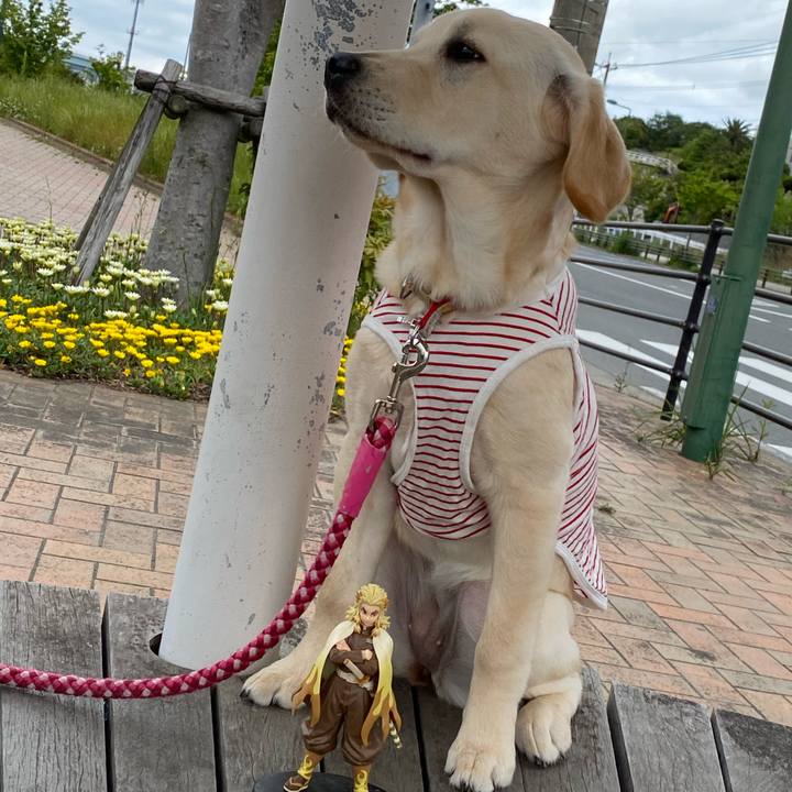 1d524adc bee6 4407 8294 b43b3aed6e08 1619954767973