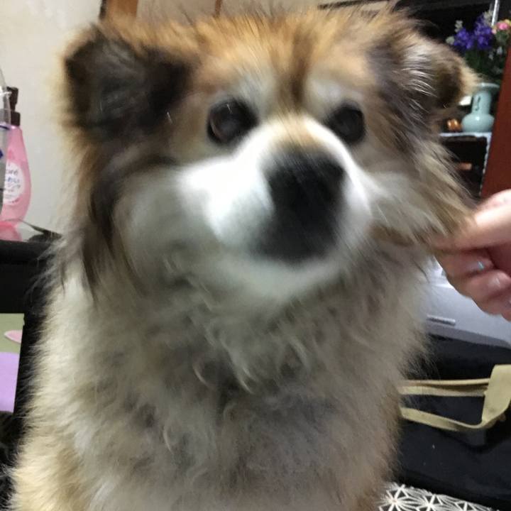 1d524bcc a8d4 4609 bf23 547ef80c19b6 1596157855292