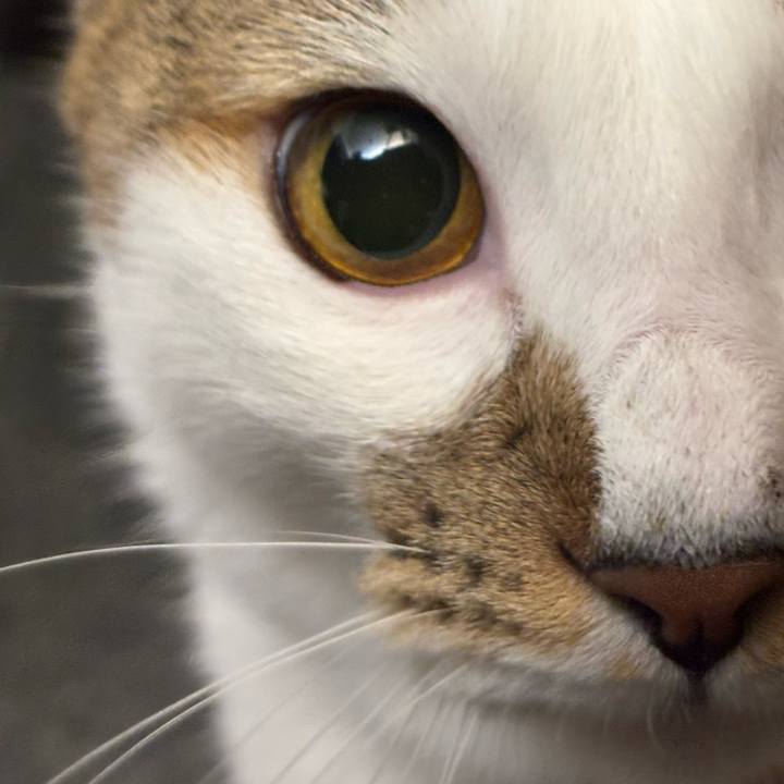 1d524c90 2971 49b8 a26a 8dbfa0163fbe 1761593287867