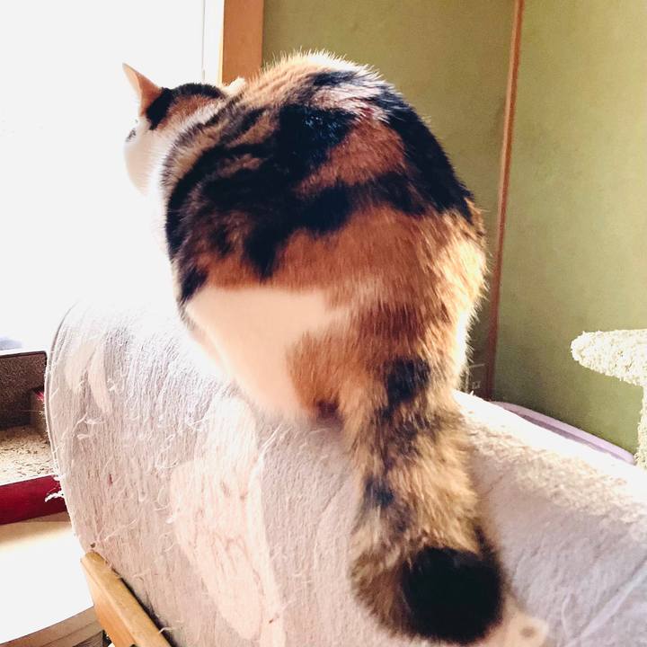 1d524f90 8c02 4989 938c 01813a0dd7f5 1612143699893