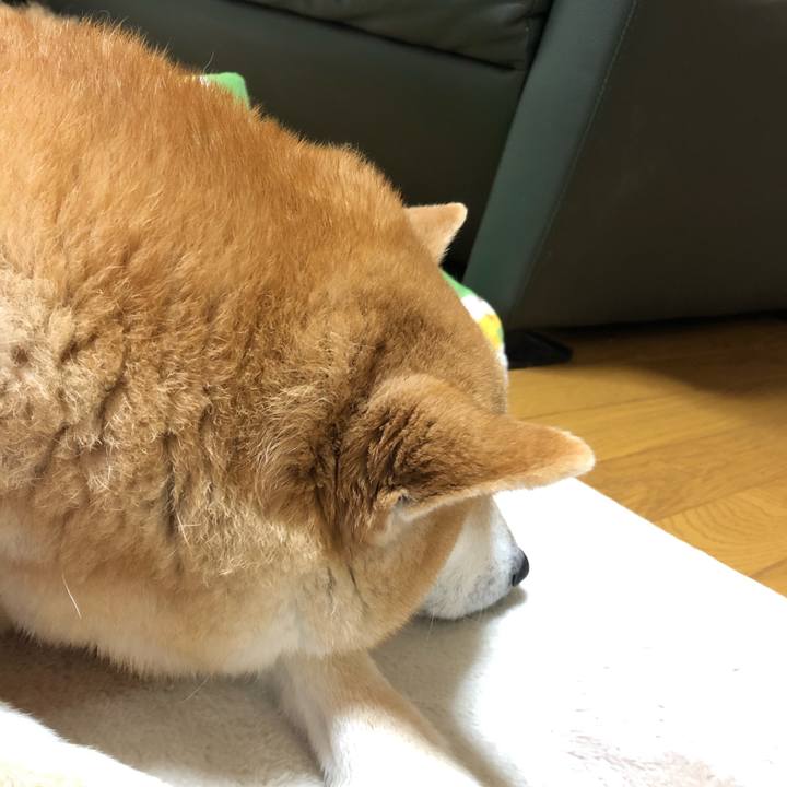 1d5255b6 3dab 4b79 af6f d0ae2a734289 1586086578029