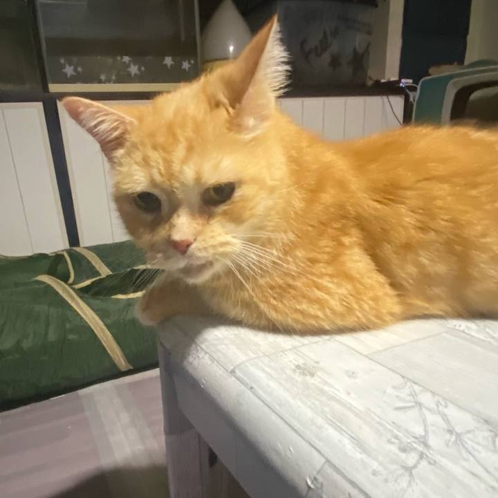 1d5258b9 e16e 4e82 be24 292134588d82 1633871680422