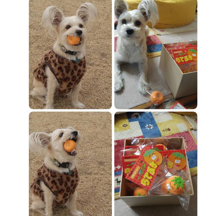 1d527838 beb6 4348 aa95 d1d1c3664d0e 1516170826946