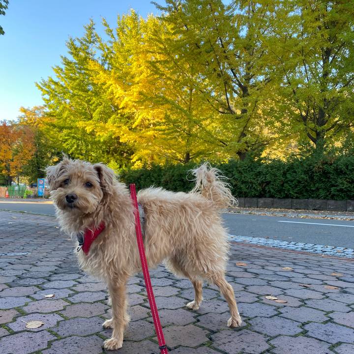 1d52788c 281d 42f3 a072 11f208d57d85 1697839306027