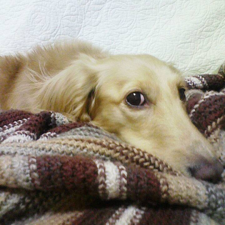 1d52a0f8 583b 48f5 904f ddde1dd46139 1547618046530