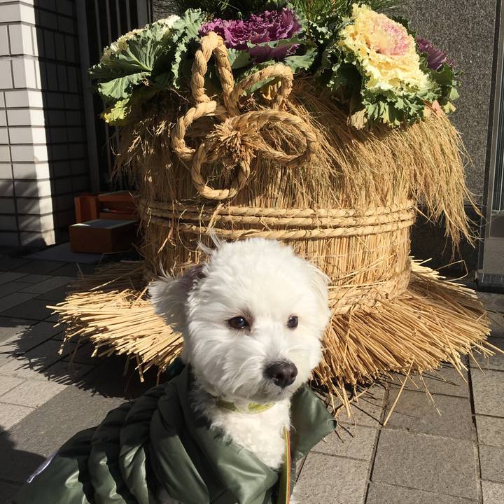 1d52c132 ec1f 4b19 ab0b 5951d9ef6be8 1514346196293