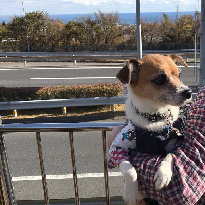 1d52ded9 9b9f 4085 b080 2c99775866b5 1546062869179