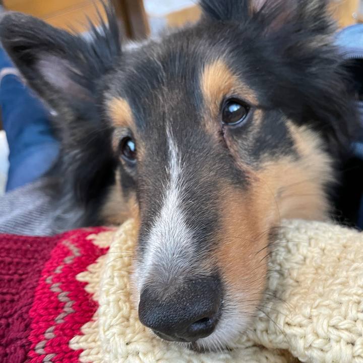 1d52f819 095c 48c5 8bbf 76fd6aadd59d 1612748106746