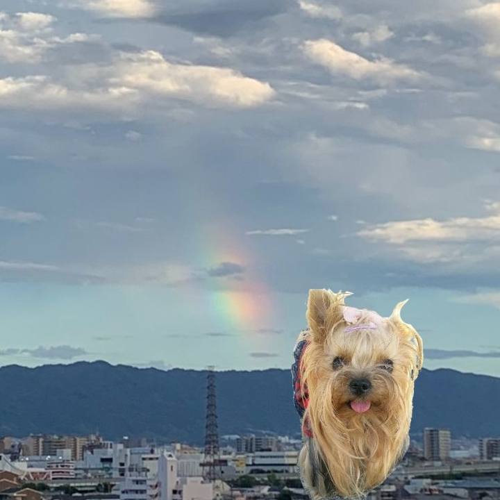 1d530096 8175 474e 8281 f84f5024320a 1660297234872