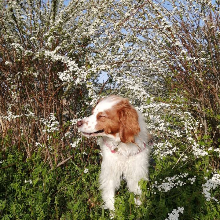 1d532634 a492 4664 9496 35564452518e 1615947289222