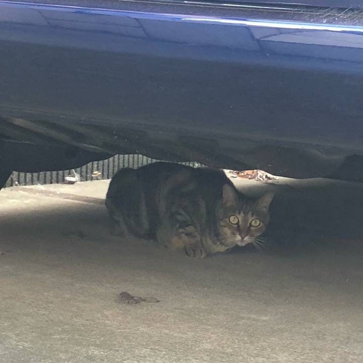 1d532e11 f7bb 4a3b a87a 3545cef1da17 1565553188592