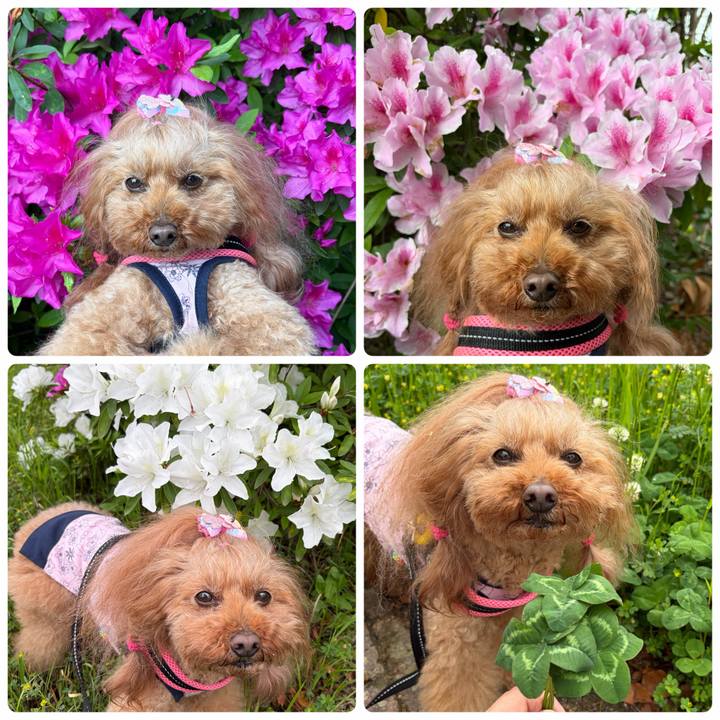 1d534f6c d7d2 4f29 bbcc ccd60d9d3f82 1776647244009