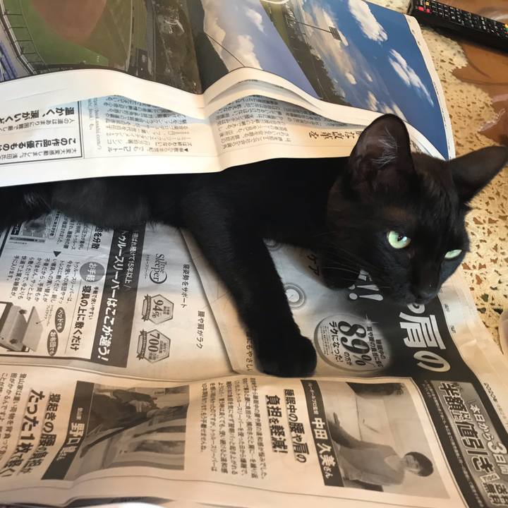 1d53ac87 0536 4956 969b 75ef1822d2e3 1595023409772