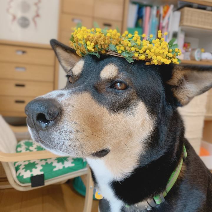 1d53b18e 7b87 4d87 b95c 1f41ef2b3e6c 1583661001121