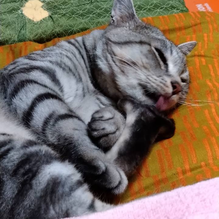 1d53d73e 9a3a 4e93 93e0 60ab00d4cd62 1662645393121