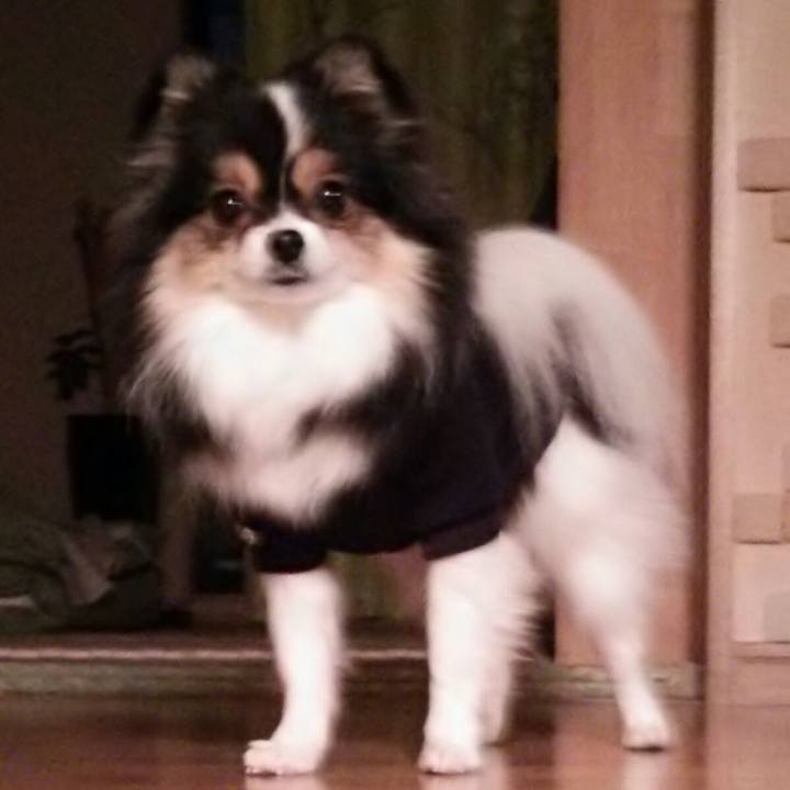 1d5441b9 ba59 4cf1 8107 f3ec280ec3ce 1512041169955