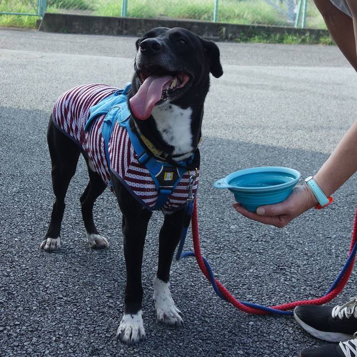 1d546fd4 7889 423d 8373 d59fcad26365 1630282389345