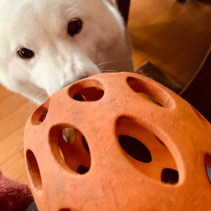 1d54a57c 03be 4099 b3cd f97a535e2f3a 1608078629542