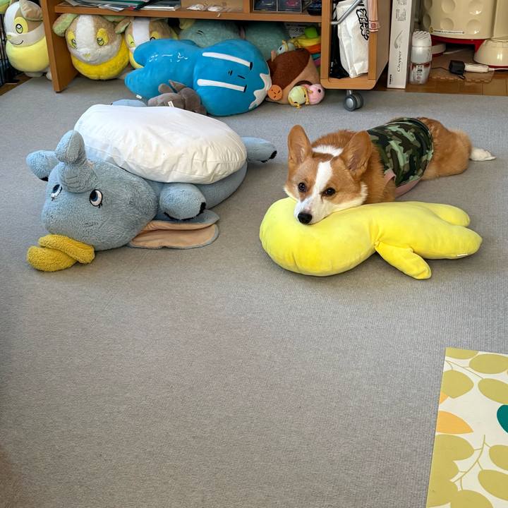 1d54f260 791a 4ba5 a9c2 d83c009b9672 1771461970858