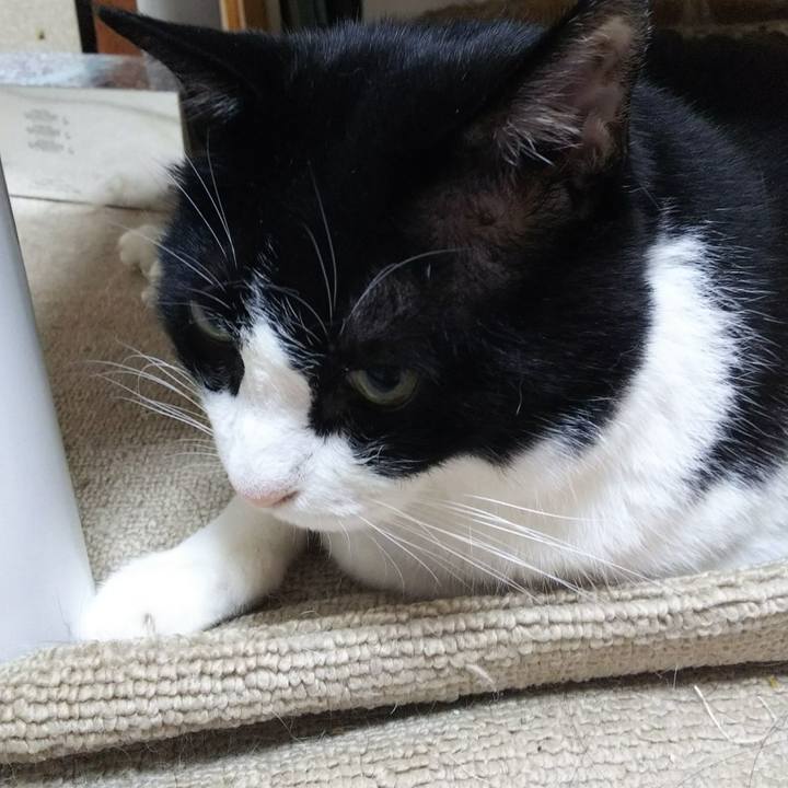 1d5511d4 fe3c 465c 9a08 50e6a3721bad 1532986987216