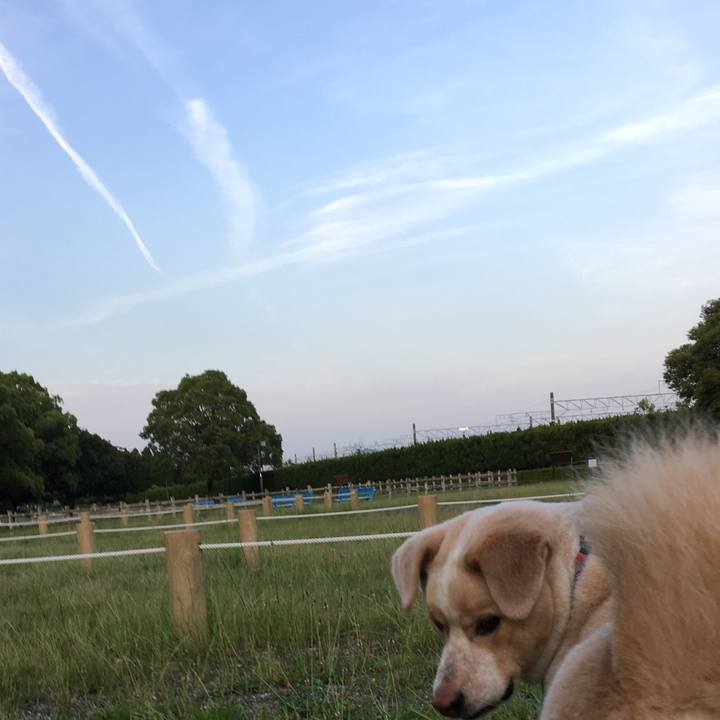 1d552819 26b8 4430 bc3e 3e59aa08329a 1527419157169