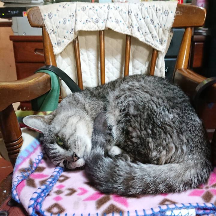 1d553eb5 5683 4263 8bea 89fb2dde05f6 1579781226561