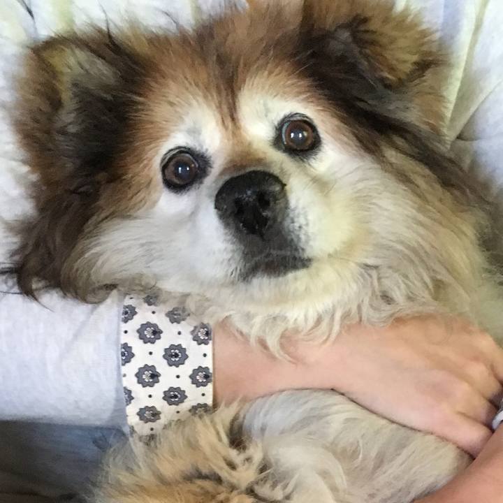 1d5553b2 9697 4ee8 8f5f b0740134a1ee 1574018401954