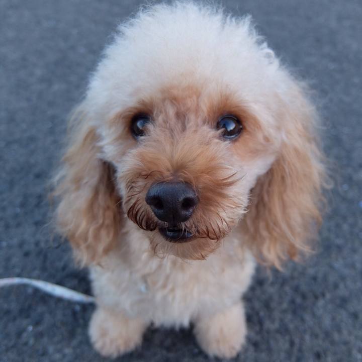 1d55842b 8ede 485b a196 664a25f2becb 1534420701703