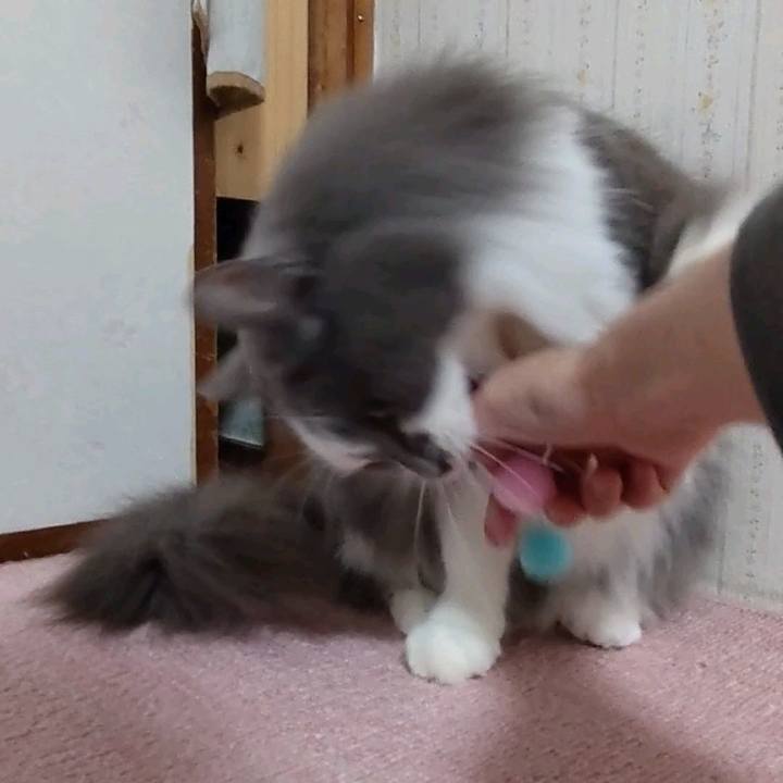 1d558dd9 30fb 4a42 a597 af91632255d2 1650192508037