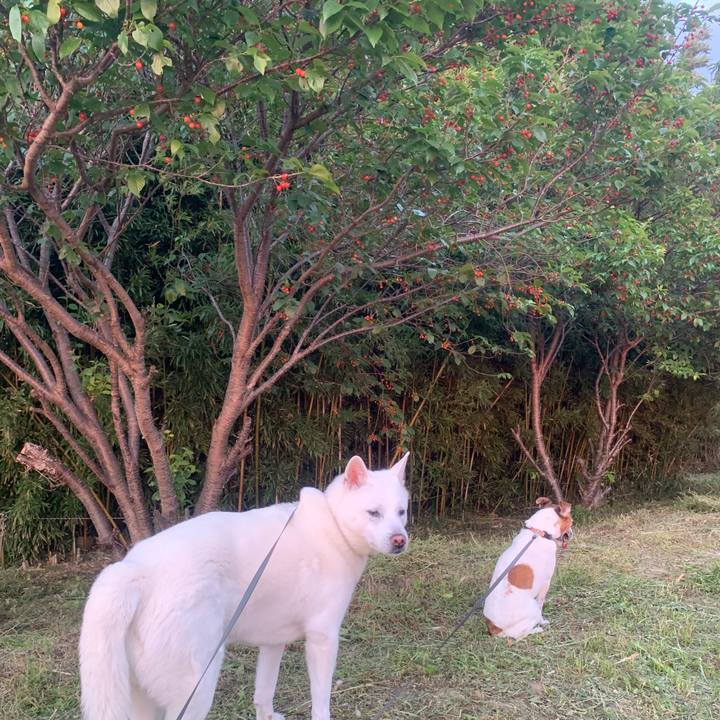 1d559d00 1adb 4fbe b89b e664317d5934 1557661830103