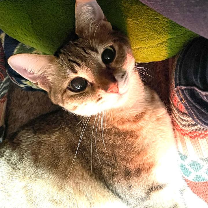 1d55a1c1 526b 4ac3 9a17 e187b890613e 1707216292980