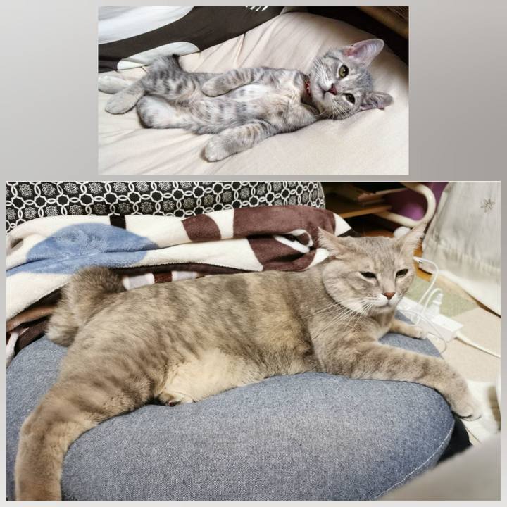 1d55b589 4c7b 4389 a753 d803c833f6ea 1637159708253