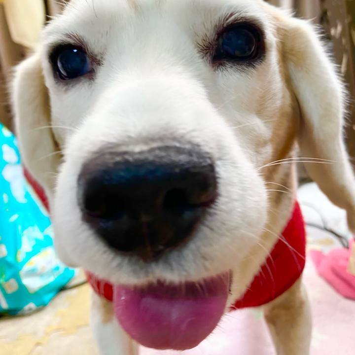 1d55eff9 5a1b 4f0f aa5c f221807ba629 1650515076873