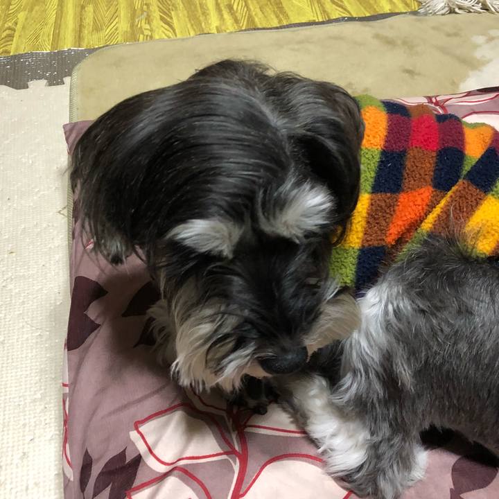 1d560574 53ea 4a4b 9198 1a2f26c18299 1518188982045