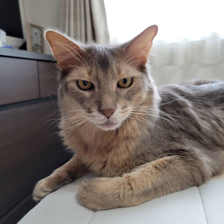 1d560b06 6743 4290 a2c3 b1a3d28c4d60 1658294720953